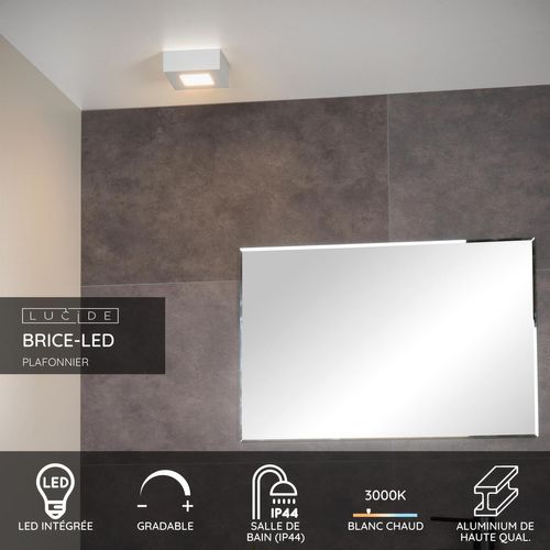 Brice-led Plafonnier - Blanc - LED Intégré