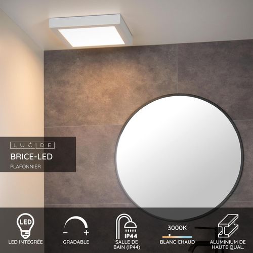 Brice-led Plafonnier - Blanc - LED Intégré