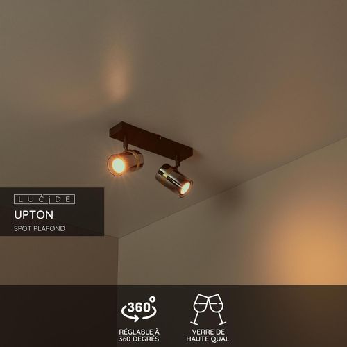Upton Spot Plafond - Fumé - 2xgu10