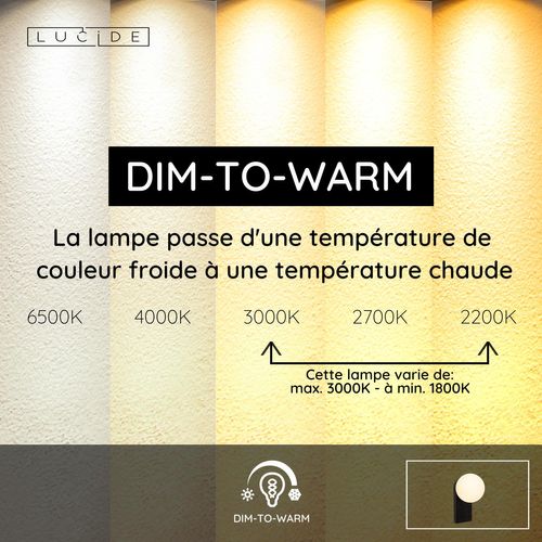 Tassa Applique Murale - Noir - LED Intégré