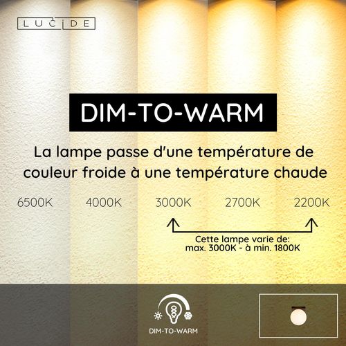 Tassa Plafonnier - Noir - LED Intégré