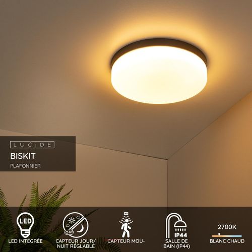 Biskit Plafonnier - Noir - LED Intégré