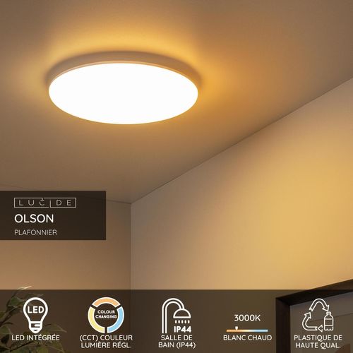 Olson Plafonnier - Opalin - LED Intégré