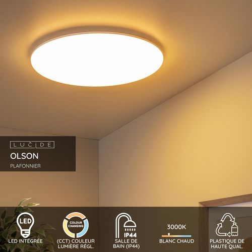 Olson Plafonnier - Opalin - LED Intégré