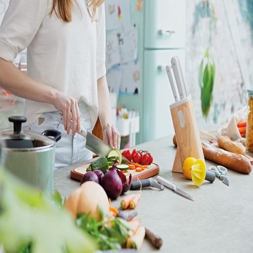 Bloc De 6 Couteaux Lames Inox - 3950342