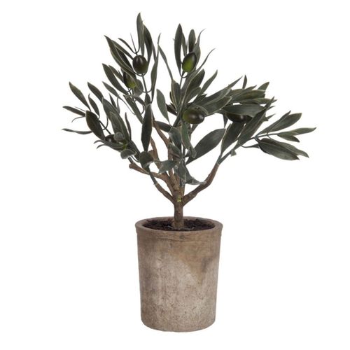 Plante Artificielle En Pot "olivier" 33cm Vert