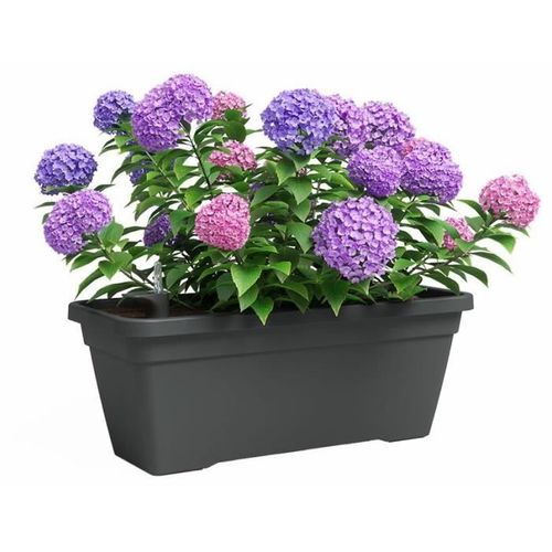 Jardinière - Plastique - Anthracite - Rectangulaire - L57,9xp24,3xh22cm - Artevasi