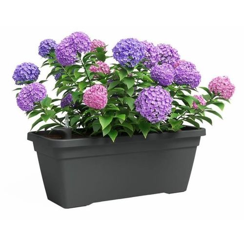 Jardinière - Plastique - Anthracite - Rectangulaire - L77,9xp24xh22cm - Artevasi