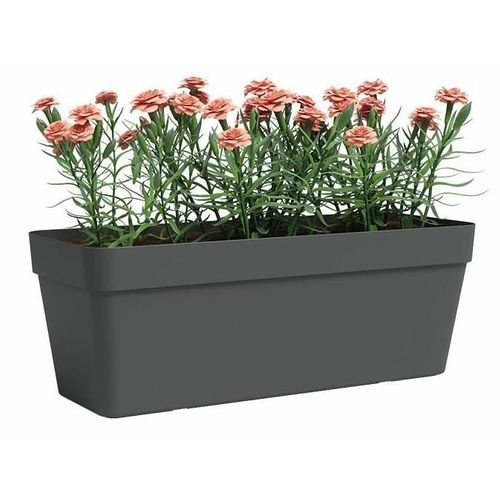 Jardiniere - Plastique - Anthracite - Rectangulaire - L49,9 X P20 X H18,1cm