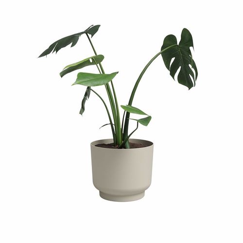 Pot De Fleur - Miami - 30 Cm - 13 L - Creme