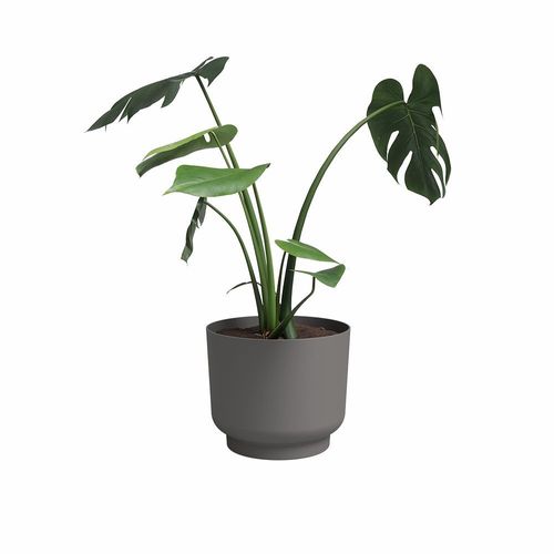 Pot De Fleur - Miami - 30 Cm - 13 L - Anthracite