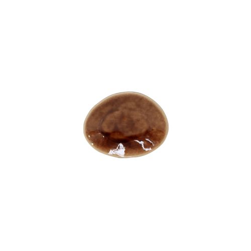 Assiette Ovale 15,4 X 12 Cm Riviera - Lot De 6 -