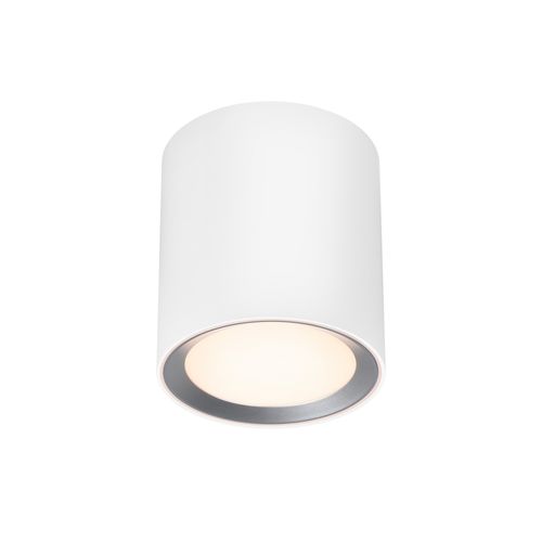 Plafonnier_c Landon Smart Long Métal Blanc, H.14 - Ip44 - LED Module / Intérieur