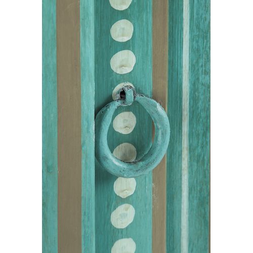 Prem-armoire à 2 Portes En Bois De Manguier Vert