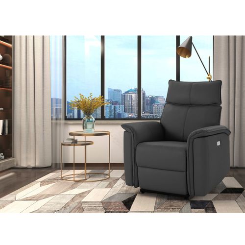 Zola-fauteuil Inclinable Gris