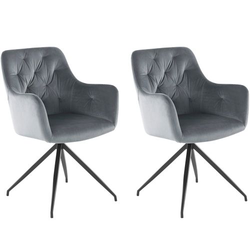 Tina-fauteuil 2 Pk Gris