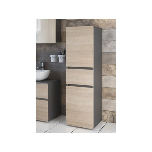 Wisla -colonne Midi 2 Portes Et 1 Tiroir En Chêne Anthracite