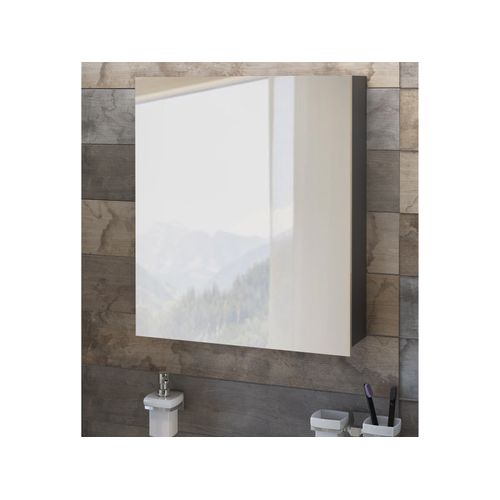 Wisla -armoire Suspendue Avec Porte Miroir En Chêne Sonamique Anthracite