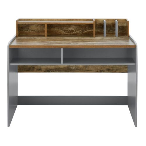 Castor-bureau En Gris / Chêne