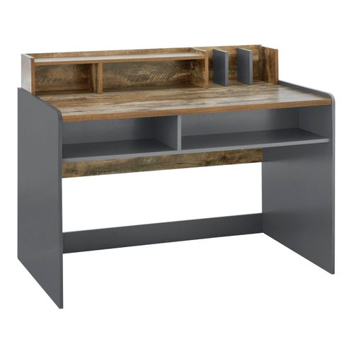 Castor-bureau En Gris / Chêne