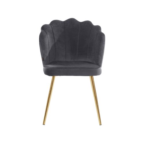 Silvia-lot De 2 Chaises De Salle à Manger Rembourrées En Velours Gris