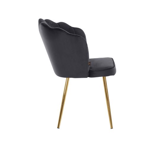 Silvia-lot De 2 Chaises De Salle à Manger Rembourrées En Velours Gris