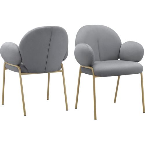Iwama-lot De 2 Chaises De Salle à Manger En Velours Gris Clair