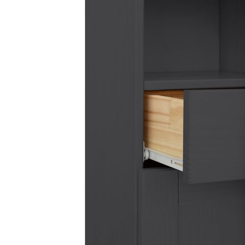 Alby-armoire De Salle De Bain Avec 1 Porte Vitrée Et 1 Porte à Fenêtre En Pin Anthracite