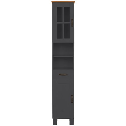 Alby-armoire De Salle De Bain Avec 1 Porte Vitrée Et 1 Porte à Fenêtre En Pin Anthracite