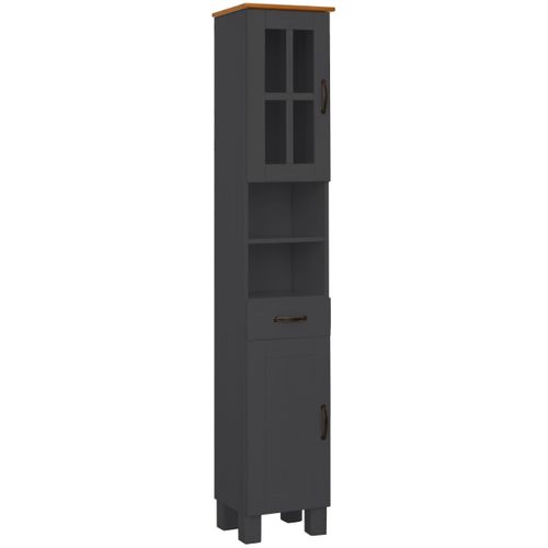 Alby-armoire De Salle De Bain Avec 1 Porte Vitrée Et 1 Porte à Fenêtre En Pin Anthracite