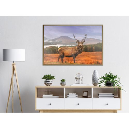 Affiche Murale Encadrée "majestic Deer" 90 X 60 Cm Doré