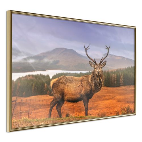 Affiche Murale Encadrée "majestic Deer" 90 X 60 Cm Doré