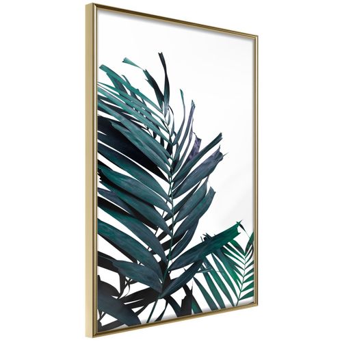 Affiche Murale Encadrée "evergreen Palm Leaves" 21 X 30 Cm Doré