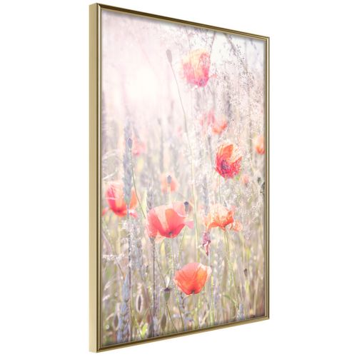 Affiche Murale Encadrée "poppies" 21 X 30 Cm Doré