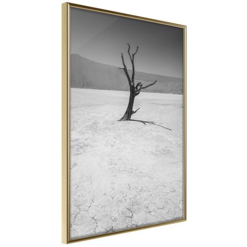 Affiche Murale Encadrée "survivor" 21 X 30 Cm Doré