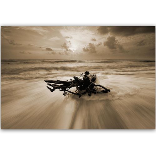 Tableau Branche De Bois Au Bord De La Mer 1 90 X 60 Cm Marron