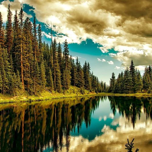 Tableau Bois Las Lac Alpin 4 60 X 40 Cm Vert