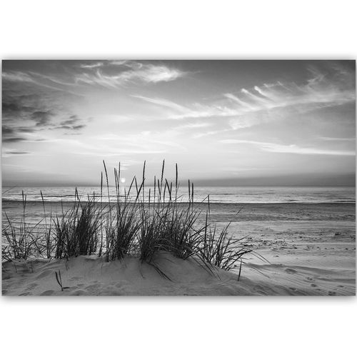 Tableau Bois Herbe Sur La Plage 2 120 X 80 Cm Gris