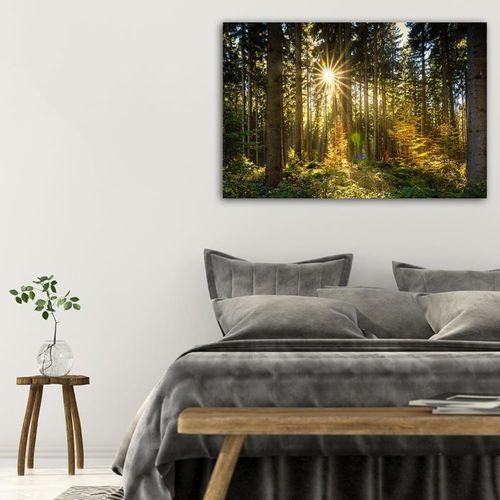 Tableau Bois Soleil Dans La Forêt 60 X 40 Cm Vert