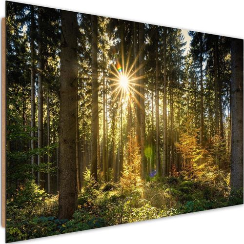 Tableau Bois Soleil Dans La Forêt 60 X 40 Cm Vert