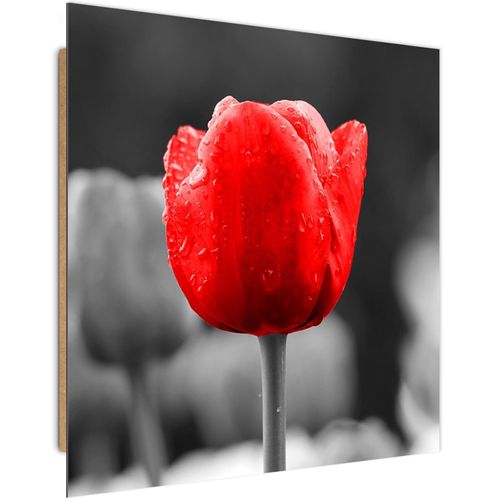 Tableau Bois Tulipe En Rouge 40 X 40 Cm Rouge