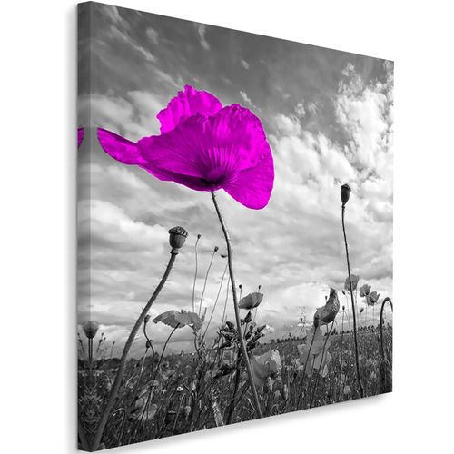 Tableau Coquelicot Violet 80 X 80 Cm Violet