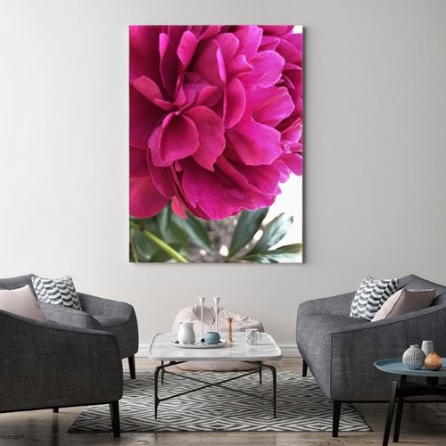 Tableau Pivoine Rose 40 X 60 Cm Rose