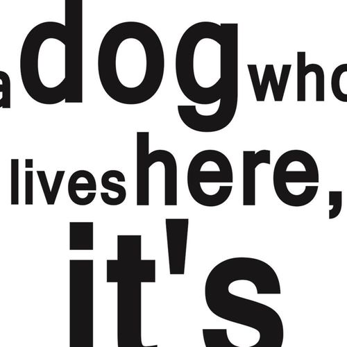 Tableau Bois Inscription Chien Est Un Ami 40 X 60 Cm Blanc