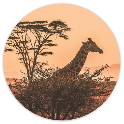 Tableau Bois Matin Sur La Savane 80 X 80 Cm Orange