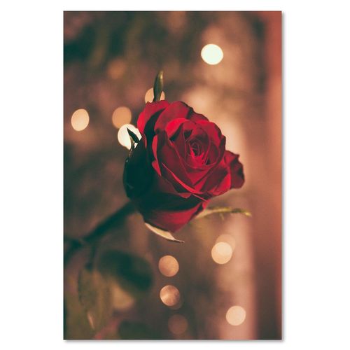 Tableau Roses De Fleurs Rouges 40 X 60 Cm Rouge