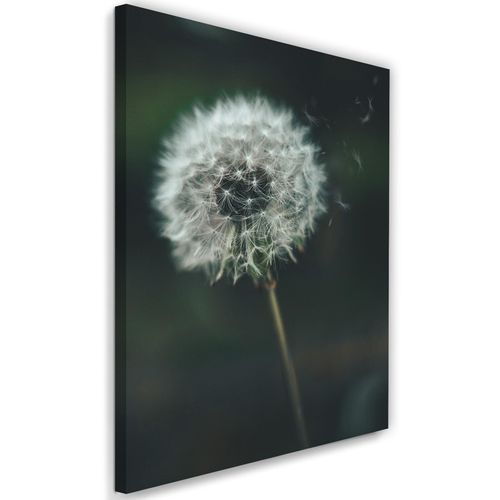 Tableau Pissenlit 80 X 120 Cm Blanc