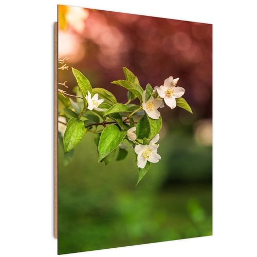 Tableau Bois Fleurs De Jasmin 80 X 120 Cm Vert