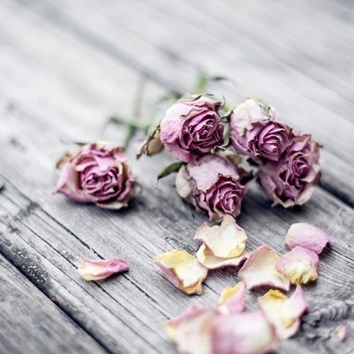 Tableau Roses Séchées 60 X 90 Cm Gris