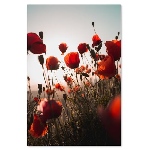Tableau Coquelicots Aux Soleils 80 X 120 Cm Rouge